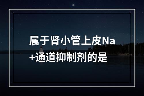 属于肾小管上皮Na+通道抑制剂的是