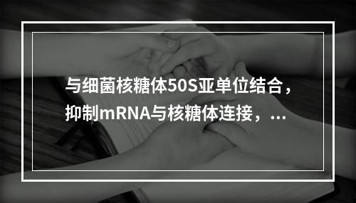 与细菌核糖体50S亚单位结合，抑制mRNA与核糖体连接，阻止