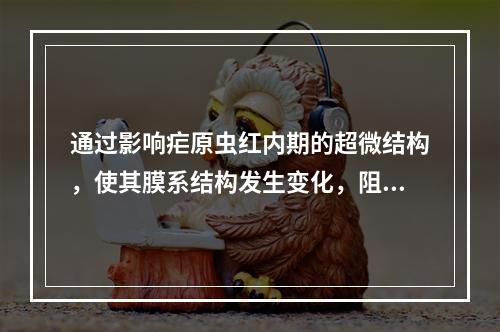 通过影响疟原虫红内期的超微结构，使其膜系结构发生变化，阻断原