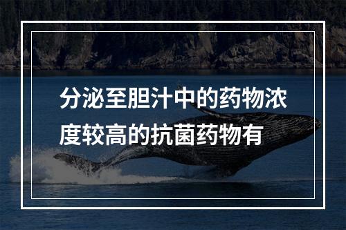 分泌至胆汁中的药物浓度较高的抗菌药物有