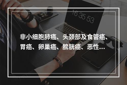 非小细胞肺癌、头颈部及食管癌、胃癌、卵巢癌、膀胱癌、恶性淋巴