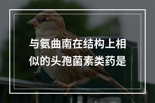 与氨曲南在结构上相似的头孢菌素类药是