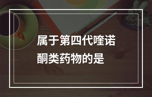 属于第四代喹诺酮类药物的是