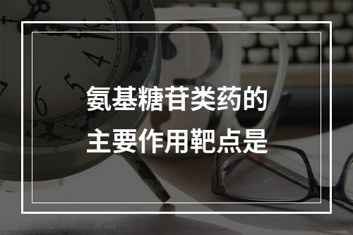 氨基糖苷类药的主要作用靶点是