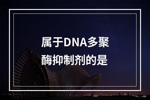 属于DNA多聚酶抑制剂的是