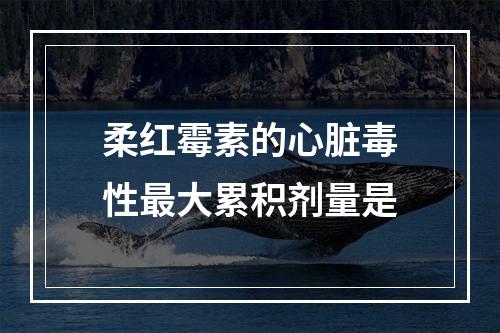 柔红霉素的心脏毒性最大累积剂量是