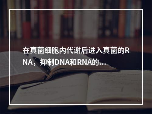 在真菌细胞内代谢后进入真菌的RNA，抑制DNA和RNA的合成