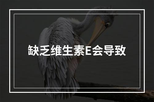 缺乏维生素E会导致