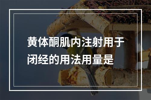 黄体酮肌内注射用于闭经的用法用量是