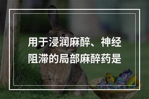 用于浸润麻醉、神经阻滞的局部麻醉药是