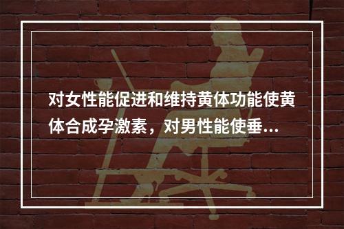 对女性能促进和维持黄体功能使黄体合成孕激素，对男性能使垂体功