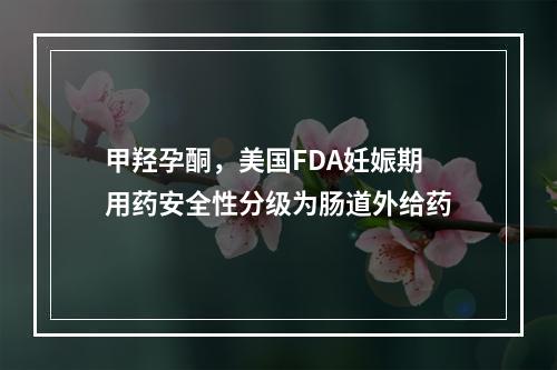 甲羟孕酮，美国FDA妊娠期用药安全性分级为肠道外给药