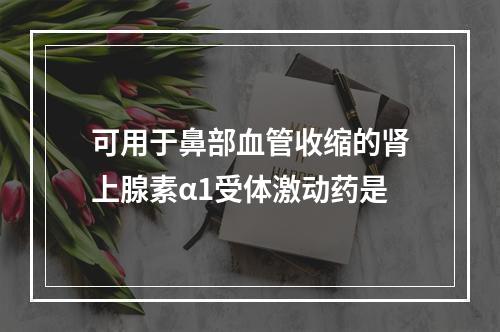 可用于鼻部血管收缩的肾上腺素α1受体激动药是