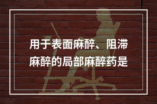 用于表面麻醉、阻滞麻醉的局部麻醉药是