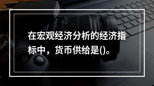 在宏观经济分析的经济指标中，货币供给是()。