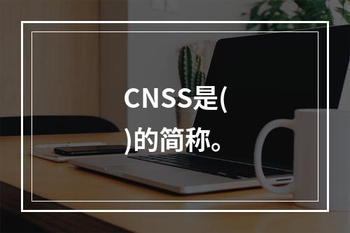 CNSS是()的简称。