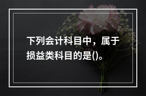 下列会计科目中，属于损益类科目的是()。