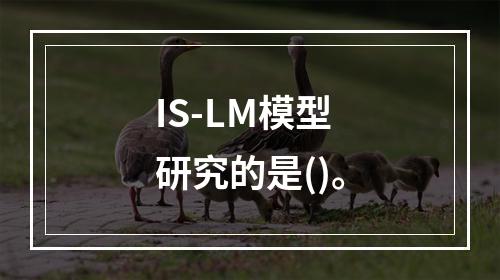 IS-LM模型研究的是()。