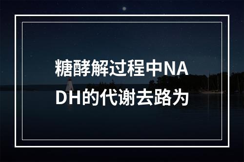 糖酵解过程中NADH的代谢去路为