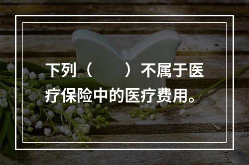 下列（　　）不属于医疗保险中的医疗费用。