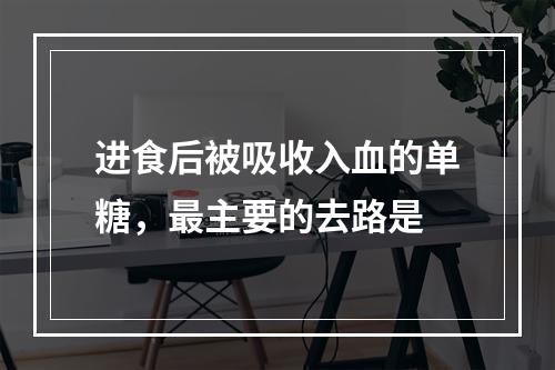 进食后被吸收入血的单糖，最主要的去路是