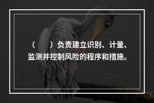 （　　）负责建立识别、计量、监测并控制风险的程序和措施。