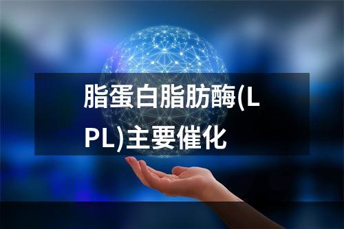 脂蛋白脂肪酶(LPL)主要催化