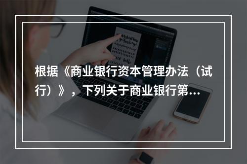 根据《商业银行资本管理办法（试行）》，下列关于商业银行第二支