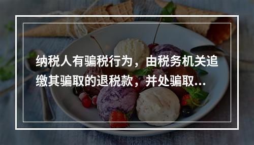 纳税人有骗税行为，由税务机关追缴其骗取的退税款，并处骗取税款