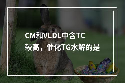 CM和VLDL中含TC较高，催化TG水解的是