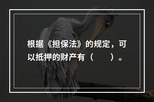 根据《担保法》的规定，可以抵押的财产有（  ）。