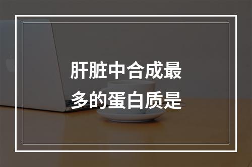 肝脏中合成最多的蛋白质是