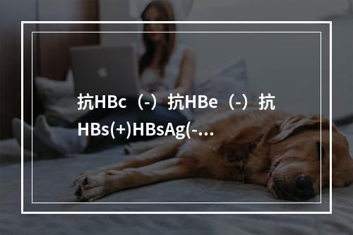 抗HBc（-）抗HBe（-）抗HBs(+)HBsAg(-)，