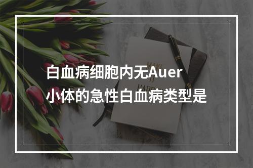 白血病细胞内无Auer小体的急性白血病类型是