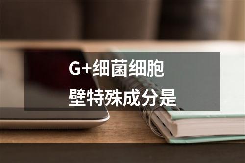 G+细菌细胞壁特殊成分是