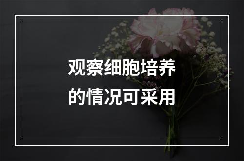 观察细胞培养的情况可采用