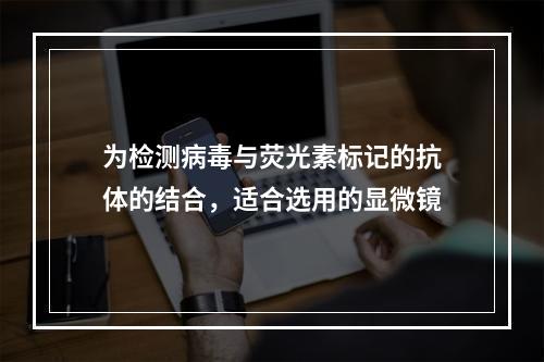 为检测病毒与荧光素标记的抗体的结合，适合选用的显微镜