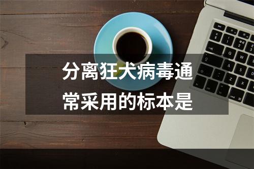 分离狂犬病毒通常采用的标本是