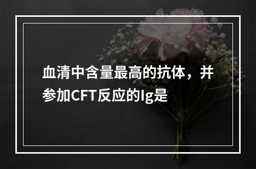 血清中含量最高的抗体，并参加CFT反应的Ig是