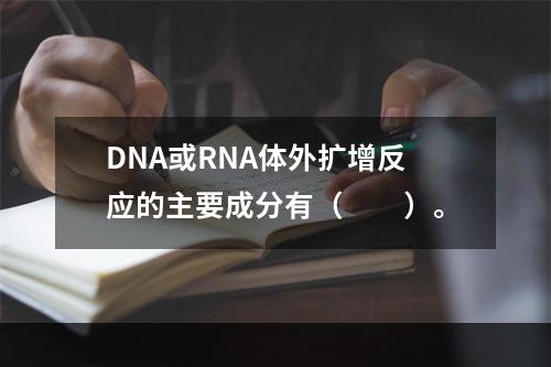 DNA或RNA体外扩增反应的主要成分有（　　）。