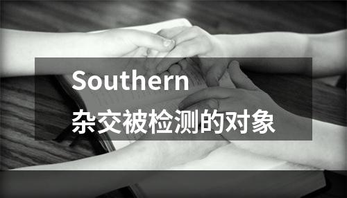 Southern杂交被检测的对象