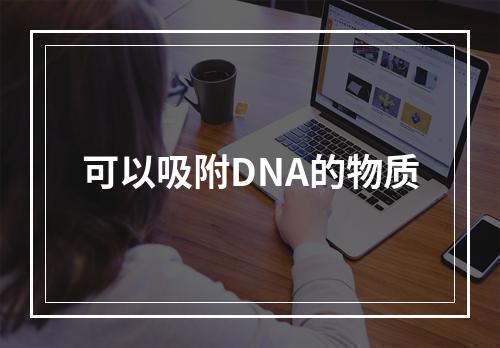 可以吸附DNA的物质