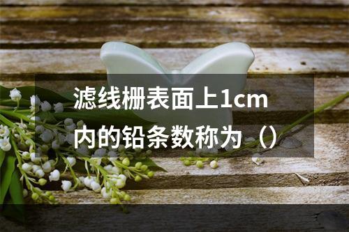 滤线栅表面上1cm内的铅条数称为（）