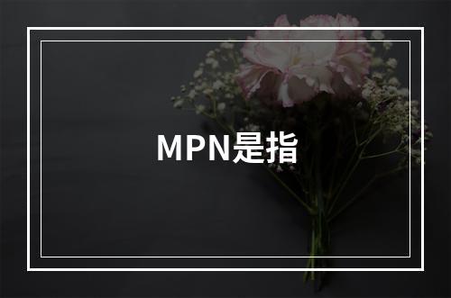 MPN是指