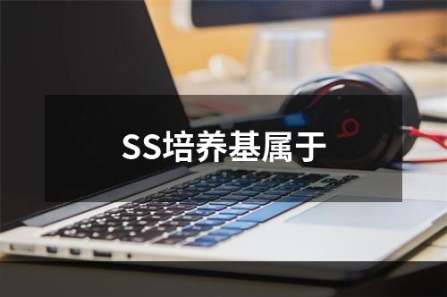 SS培养基属于