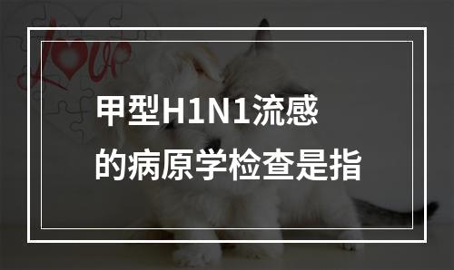 甲型H1N1流感的病原学检查是指