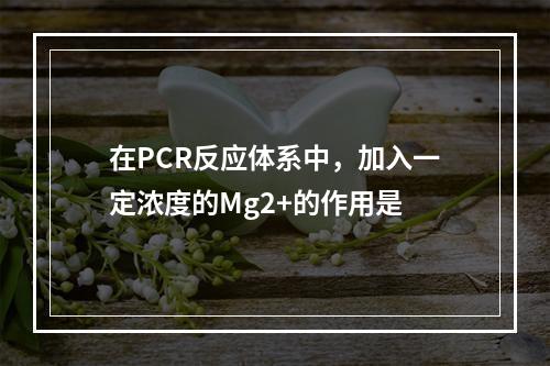 在PCR反应体系中，加入一定浓度的Mg2+的作用是