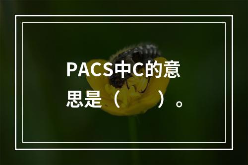 PACS中C的意思是（　　）。