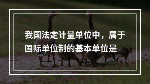 我国法定计量单位中，属于国际单位制的基本单位是