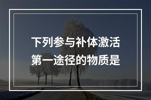 下列参与补体激活第一途径的物质是